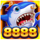 开元8888vip官网版