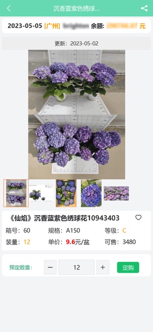 缤纷盆栽