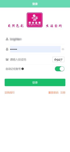 缤纷盆栽