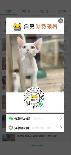 智慧喵