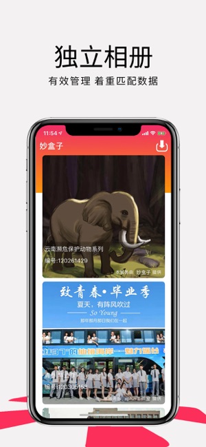 妙盒子