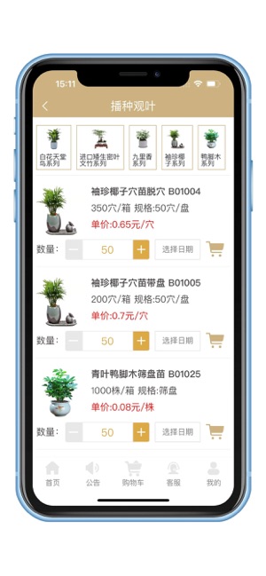 缤纷种苗