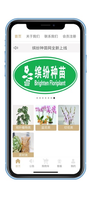 缤纷种苗