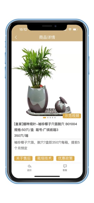 缤纷种苗
