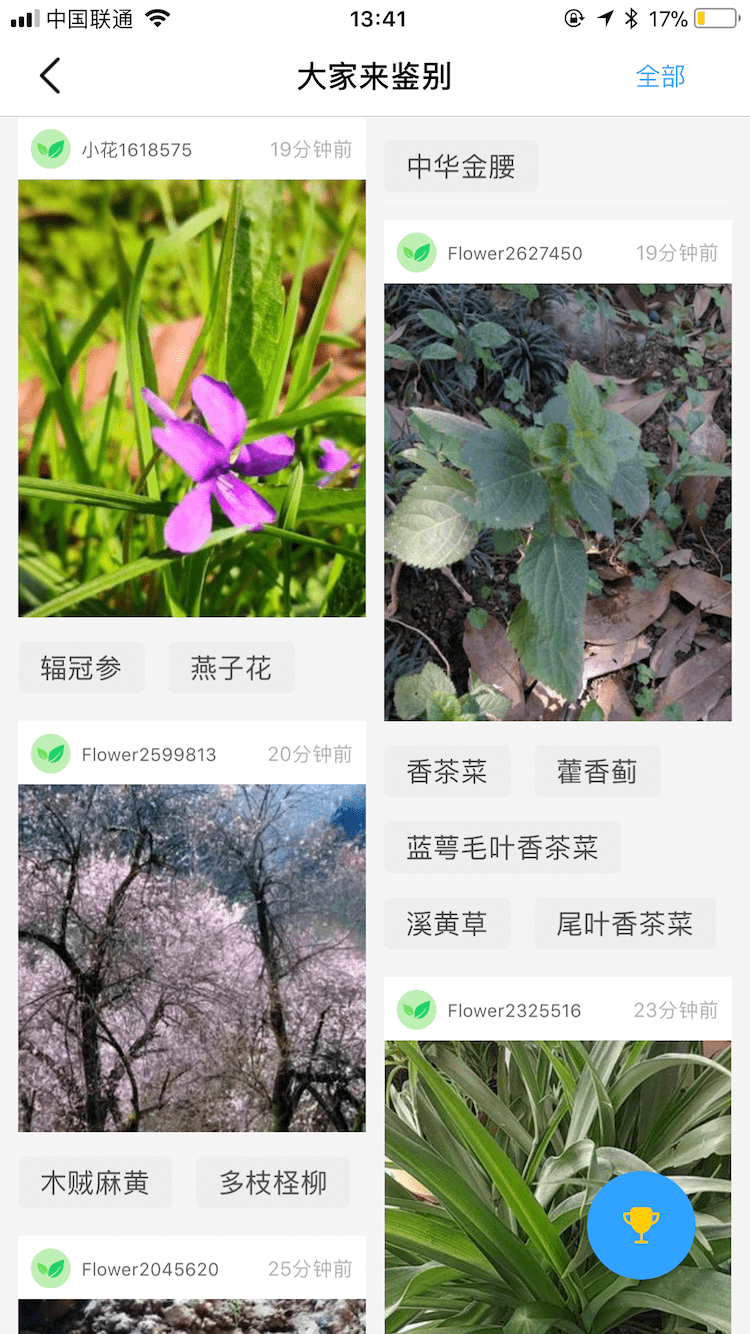 花伴侣