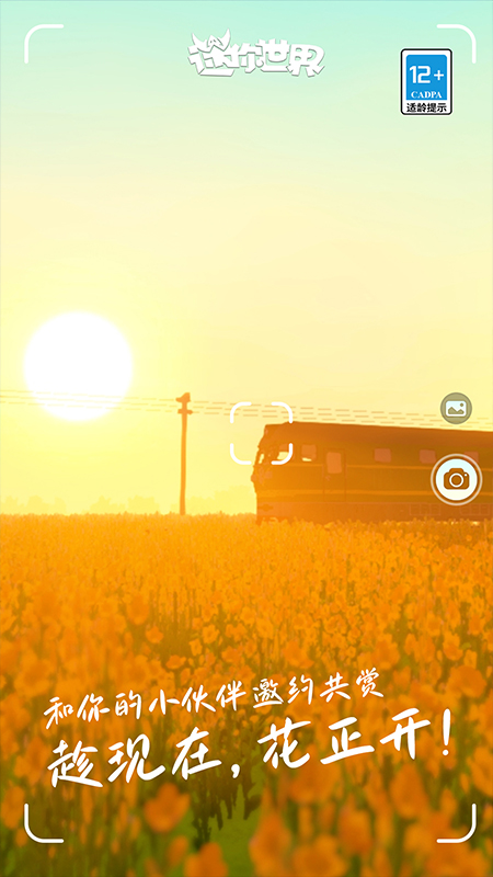 迷你世界