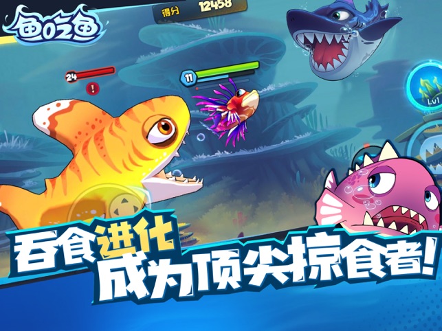 鱼吃鱼