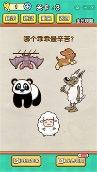 烧脑达人