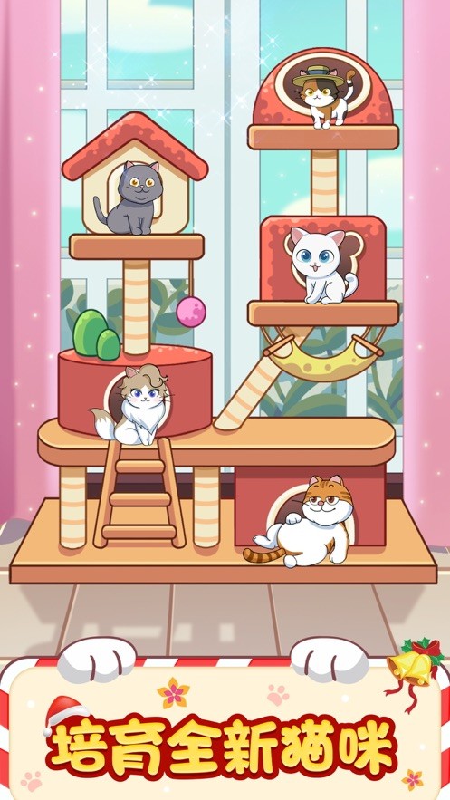 萌猫养成记