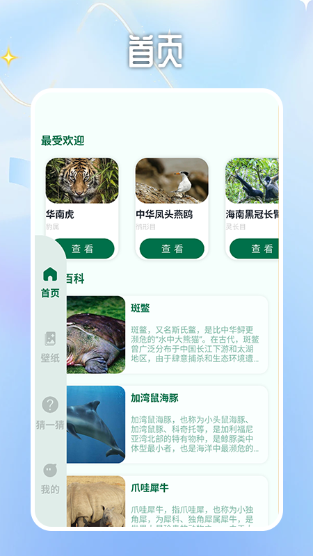 迷雾大陆世界