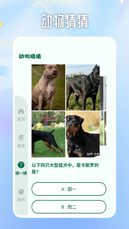 迷雾大陆世界