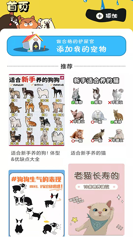 肥猫赚钱