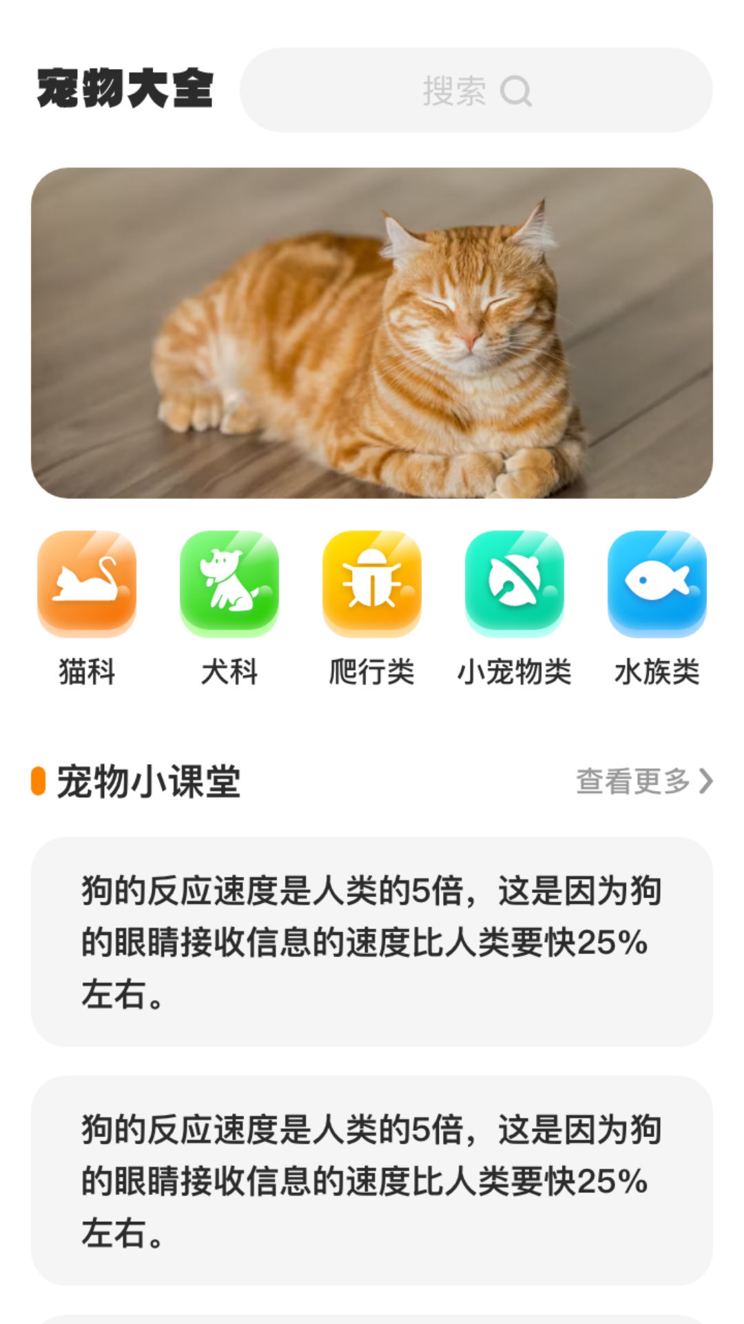 相聚看看