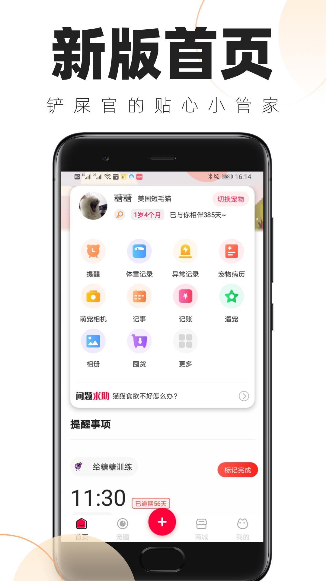 铲屎官的日常