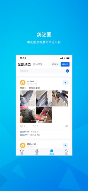 中鸽网