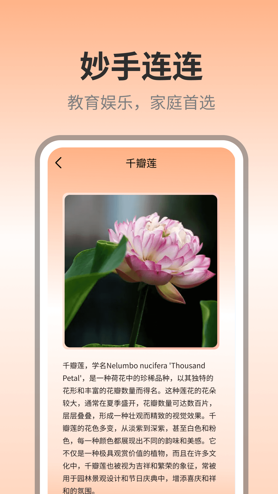 妙手连连