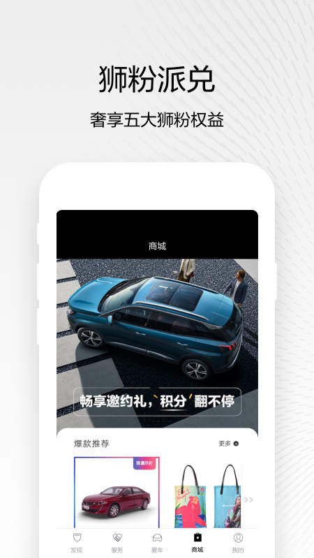 东风标致
