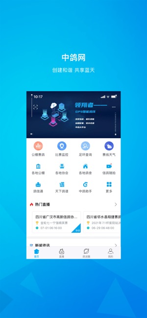 中鸽网