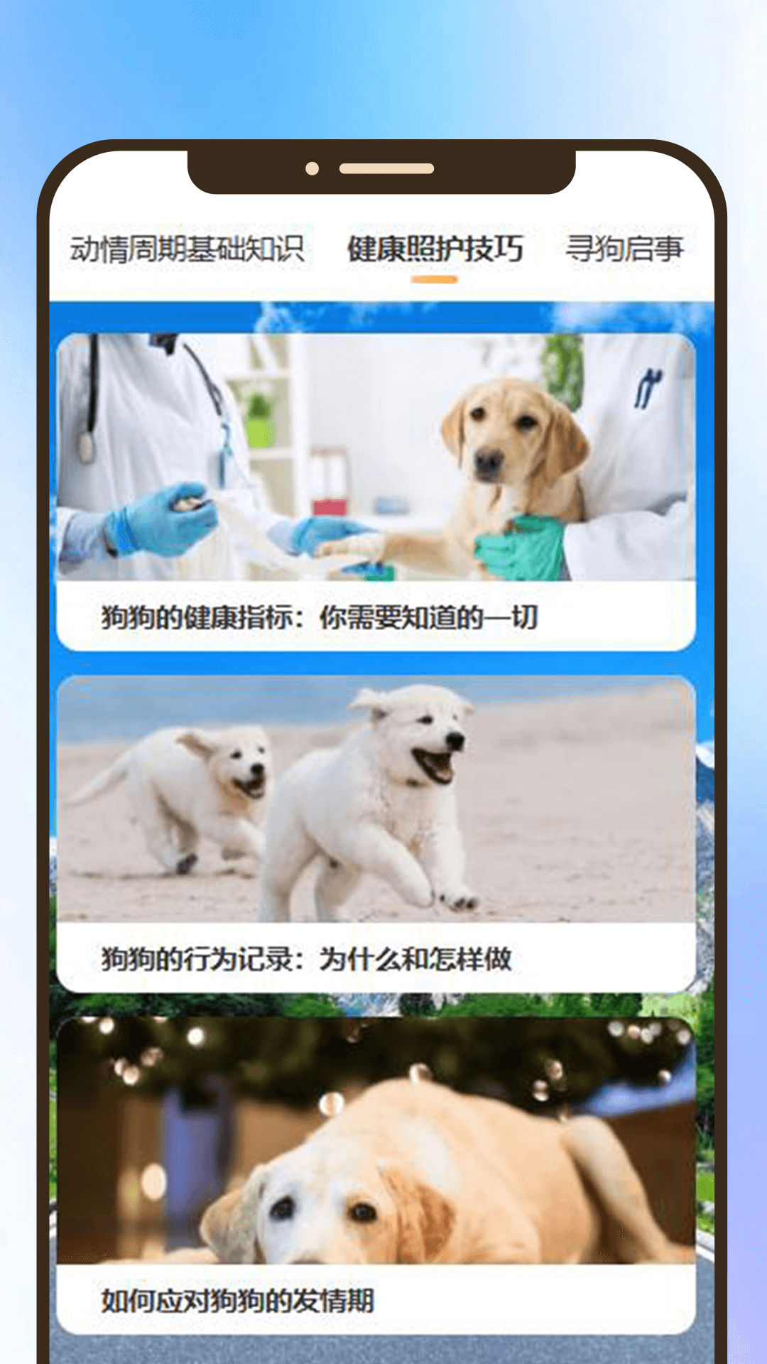 闲适趣宠