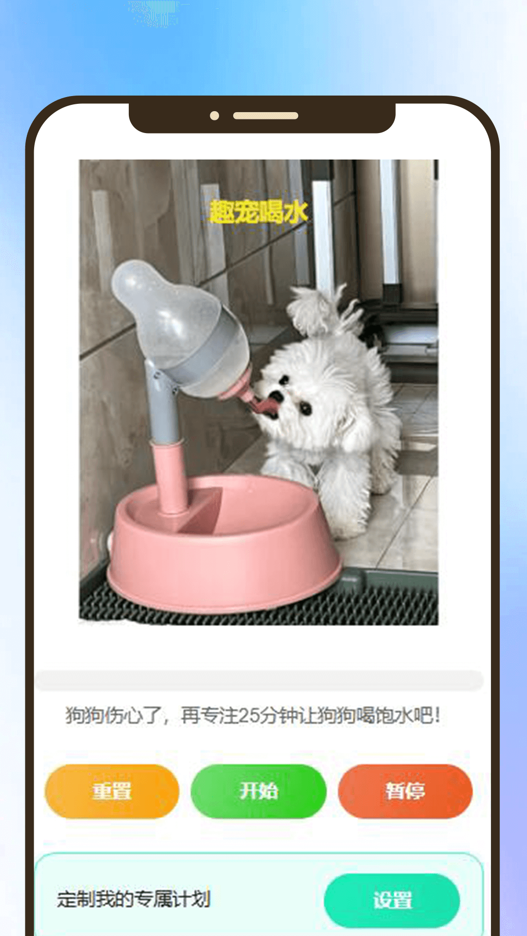 闲适趣宠