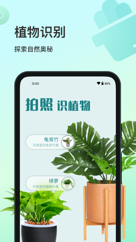 花卉识别
