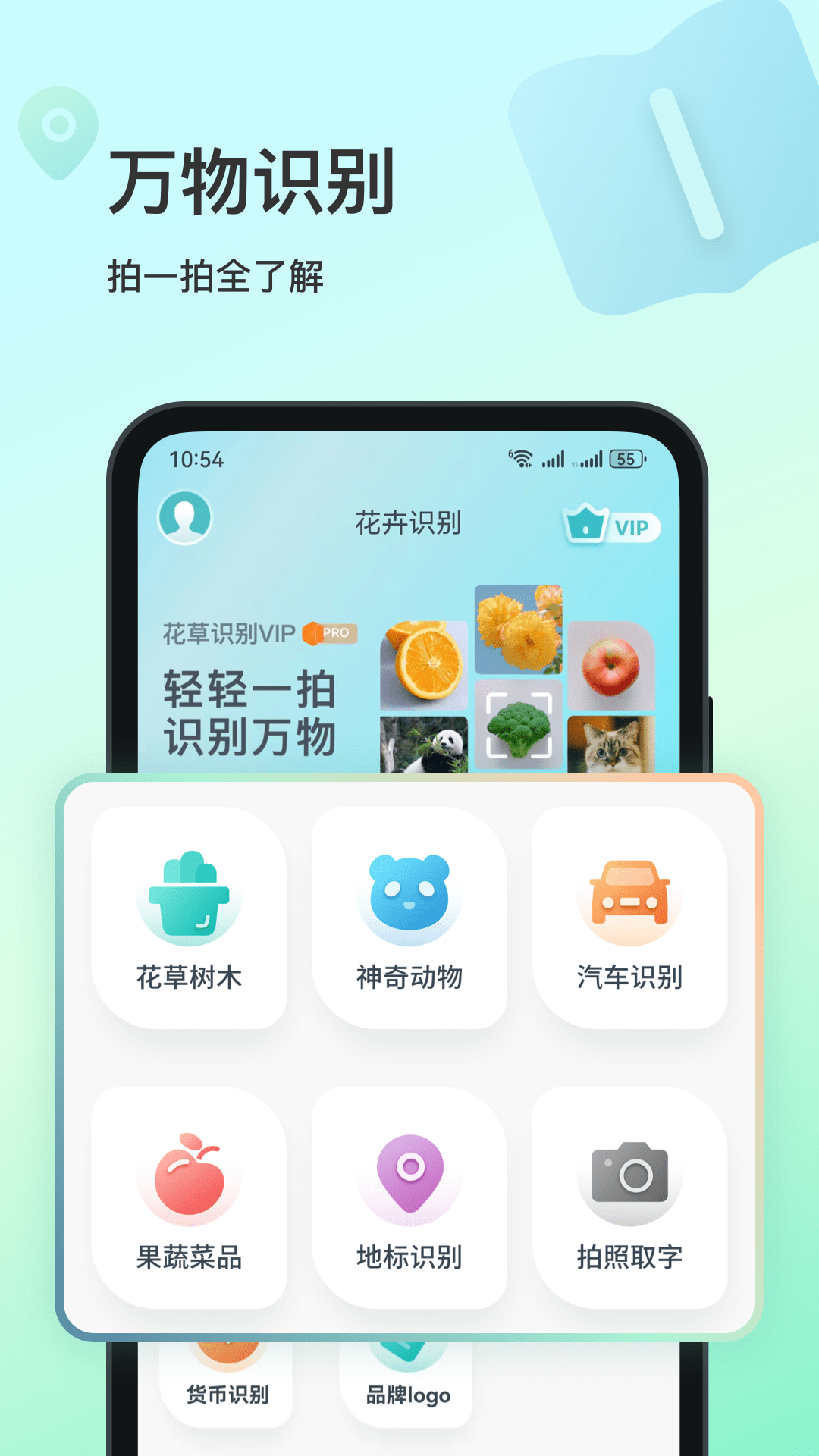 花卉识别