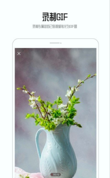 gif动图