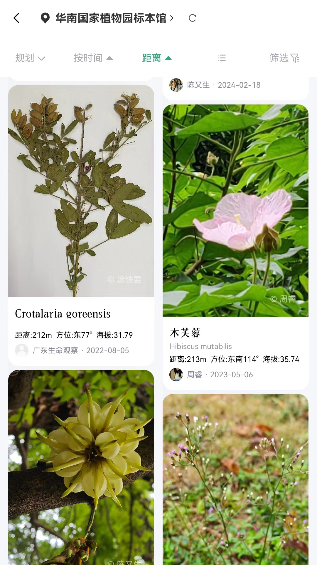 生命网格