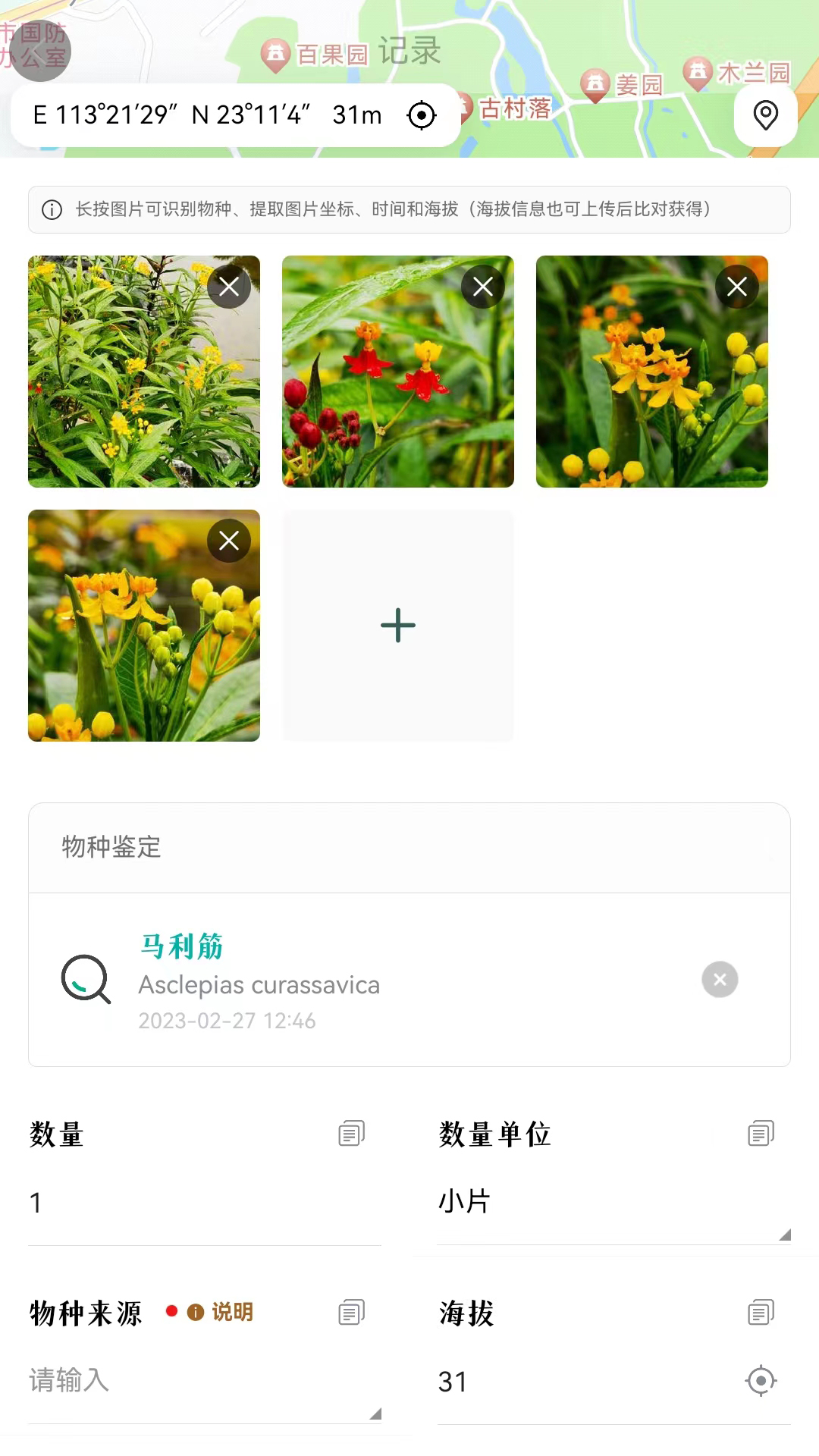 生命网格