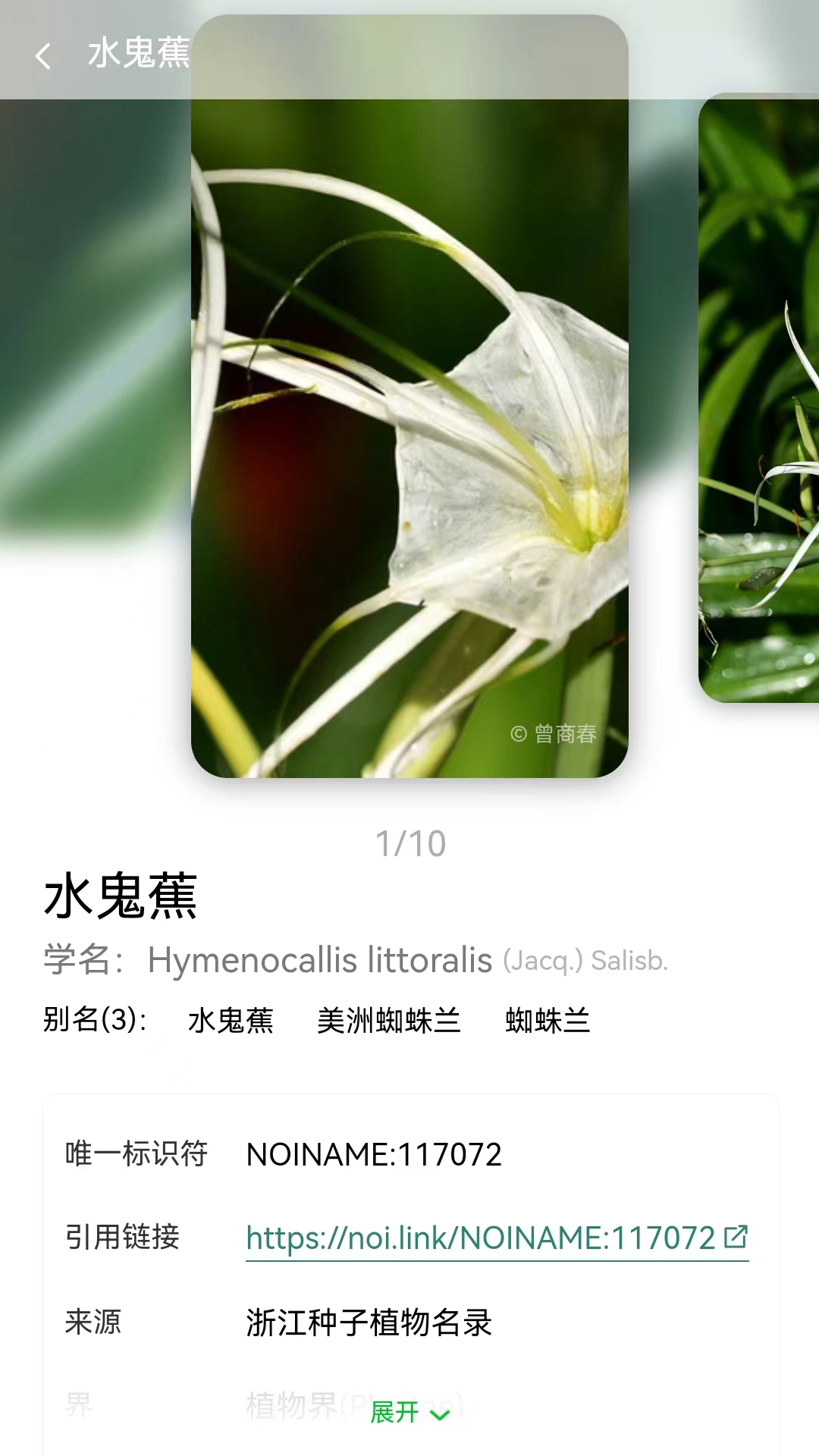 生命网格