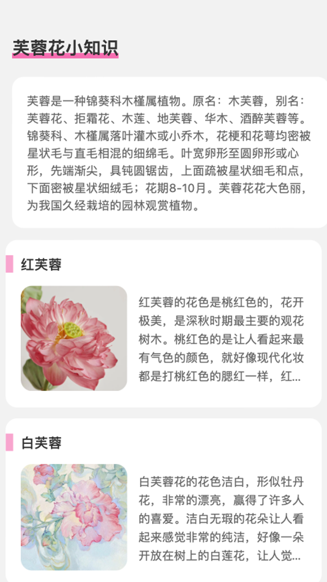 芙蓉乐刷