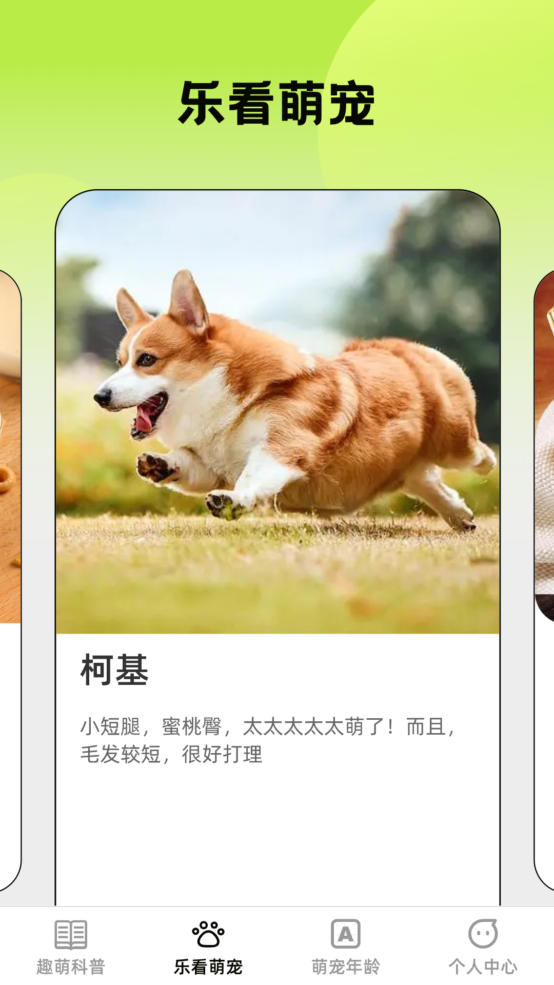萌旺乐看