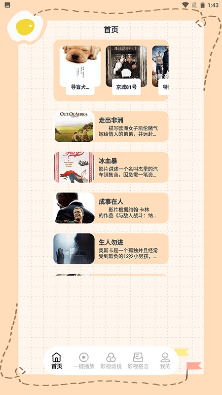 西柚视频播放器