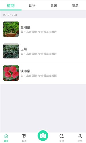 识物