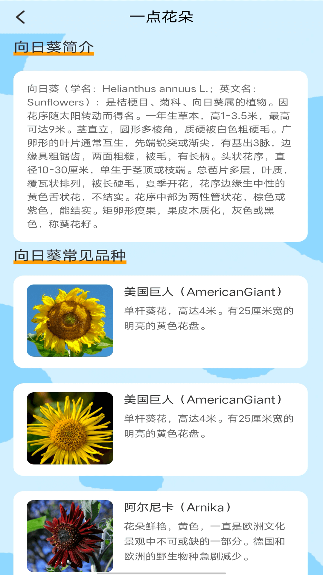 状元一点通