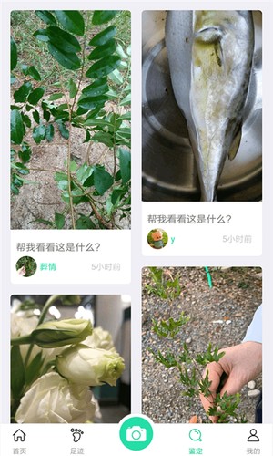 识物
