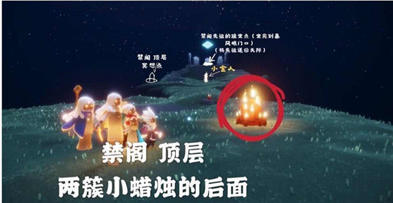 哪里能见到光遇雨林的散落星光