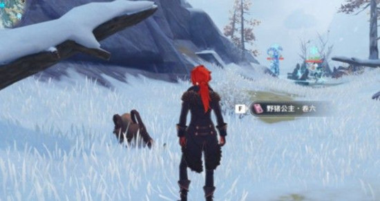 在原神无灵魂处灵魂参拜有何注意事项
