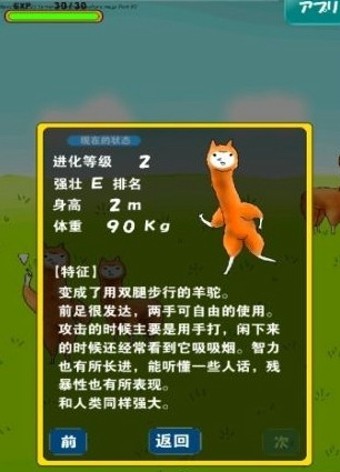 兄贵羊驼