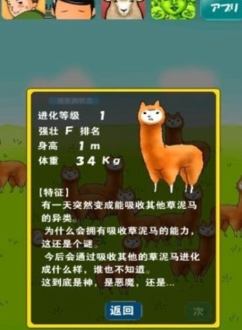兄贵羊驼
