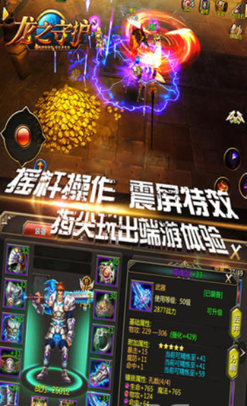 龙之守护