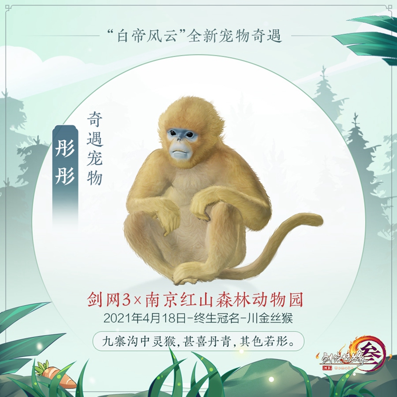 为什么剑网3毒经在吃鸡中奔跑如此之快 为什么剑网3毒经在吃鸡中奔跑如此之快