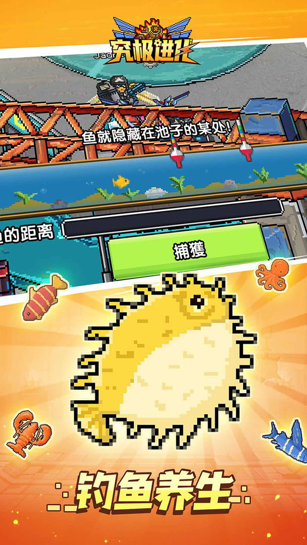 精灵究极进化