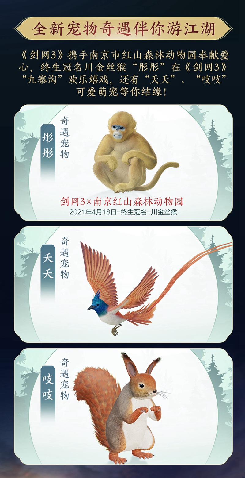剑网3东海的宠物有哪些特点 剑网3东海的宠物有哪些特点