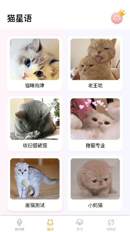猫语