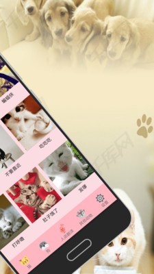 人猫人狗交流器_截图4