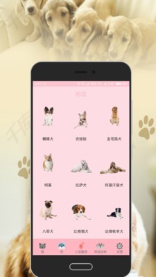 人猫人狗交流器_截图3