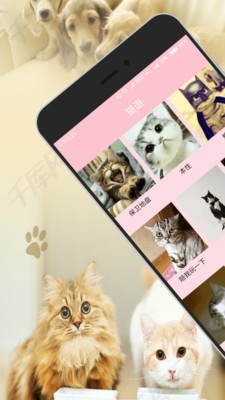 人猫人狗交流器_截图1