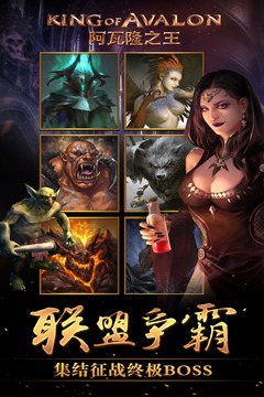 阿瓦隆之王的权力_截图1
