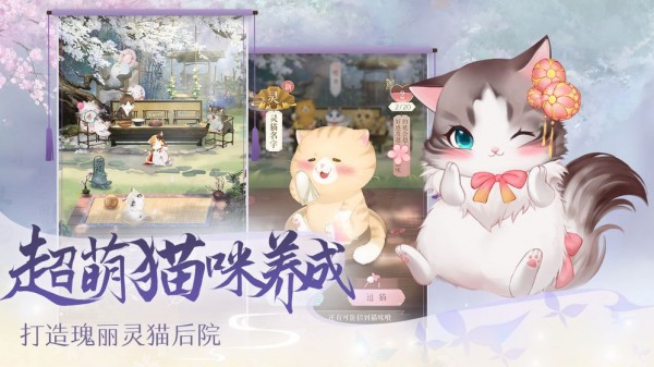 灵猫